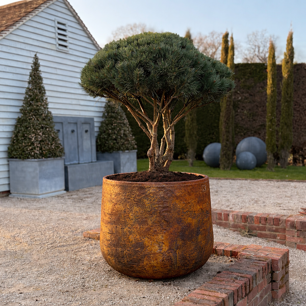 Opus Planters
