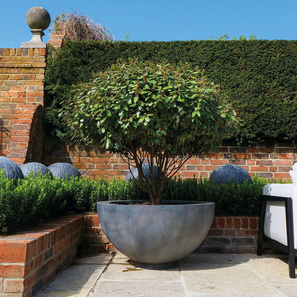 lua plant pot uk Luna Planters